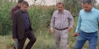 بازدید مدیر عامل شرکت آبیاری کرخه و شاوور از منطقه محرزی ۱