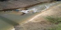 رهاسازی آب در شاخه کرخه نور در جهت تامین آب احشام پایین دست انجام شد ۱