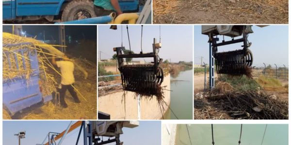 اجرای عملیات مکانیزه جمع‌آوری نی‌های سردهانه کانال AMC در سد انحرافی حمیدیه